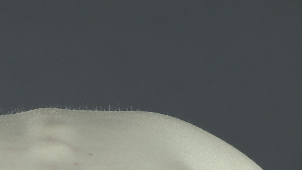 Kinesthetic Universe II